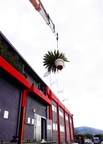 ΤΟΠΟΘΕΤΗΣΗ ΦΥΤΩΝ ΣΤΗΝ ΤΑΡΑΤΣΑ ΚΤΙΡΙΟΥ